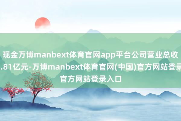 现金万博manbext体育官网app平台公司营业总收入18.81亿元-万博manbext体育官网(中国)官方网站登录入口
