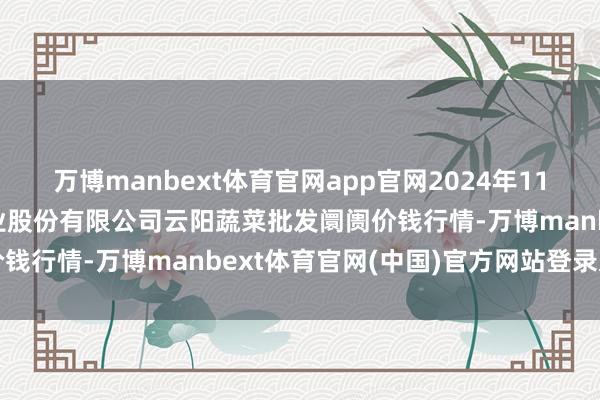 万博manbext体育官网app官网2024年11月17日陕西泾云当代农业股份有限公司云阳蔬菜批发阛阓价钱行情-万博manbext体育官网(中国)官方网站登录入口