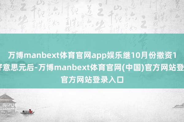 万博manbext体育官网app娱乐继10月份撤资117亿好意思元后-万博manbext体育官网(中国)官方网站登录入口