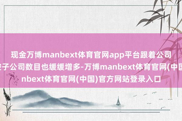 现金万博manbext体育官网app平台跟着公司业务体量的增多参控子公司数目也缓缓增多-万博manbext体育官网(中国)官方网站登录入口