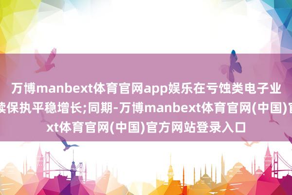 万博manbext体育官网app娱乐在亏蚀类电子业务边界的收入络续保执平稳增长;同期-万博manbext体育官网(中国)官方网站登录入口